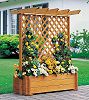 Rankkasten mit Pergola